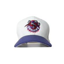 Load image into Gallery viewer, Raptors - Two Tone Snapback