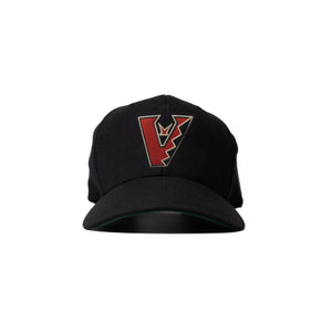 Arizona - Black Snapback