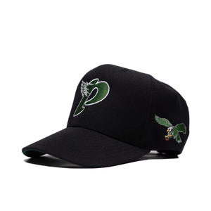 Philly Reimagined - Black SnapBack