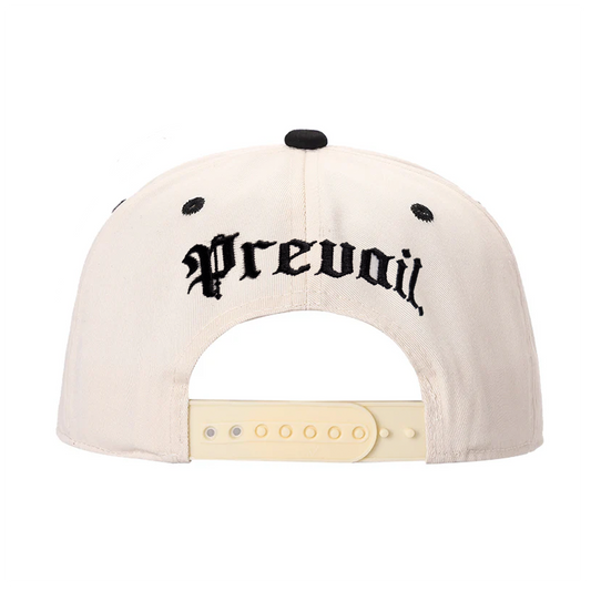 NY NY - Two Tone Snapback