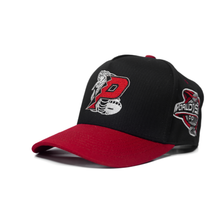 Load image into Gallery viewer, Rattlesnake P - Two tone Snapback