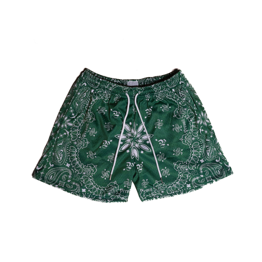 Green Paisley - Mesh Shorts