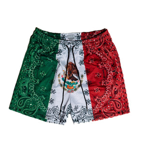 Mexico Paisley - Mesh Shorts [ PRE-ORDER ]